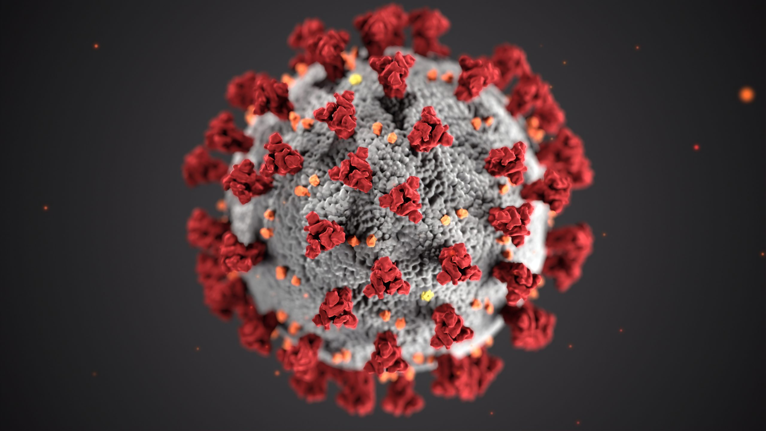 nieuws-corona-virus-header-Photo-by-CDC-on-Unsplash